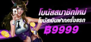 550ww-banner-hero